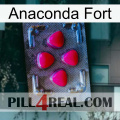 Anaconda Strong 13